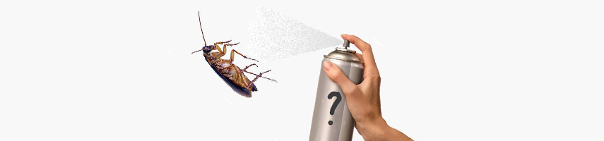 Помогает ли дихлофос от тараканов и чем он опасен
